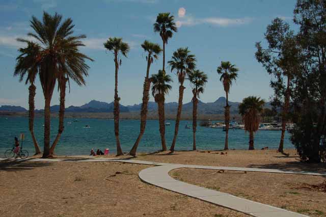 Rotary Park, Lake Havasu City